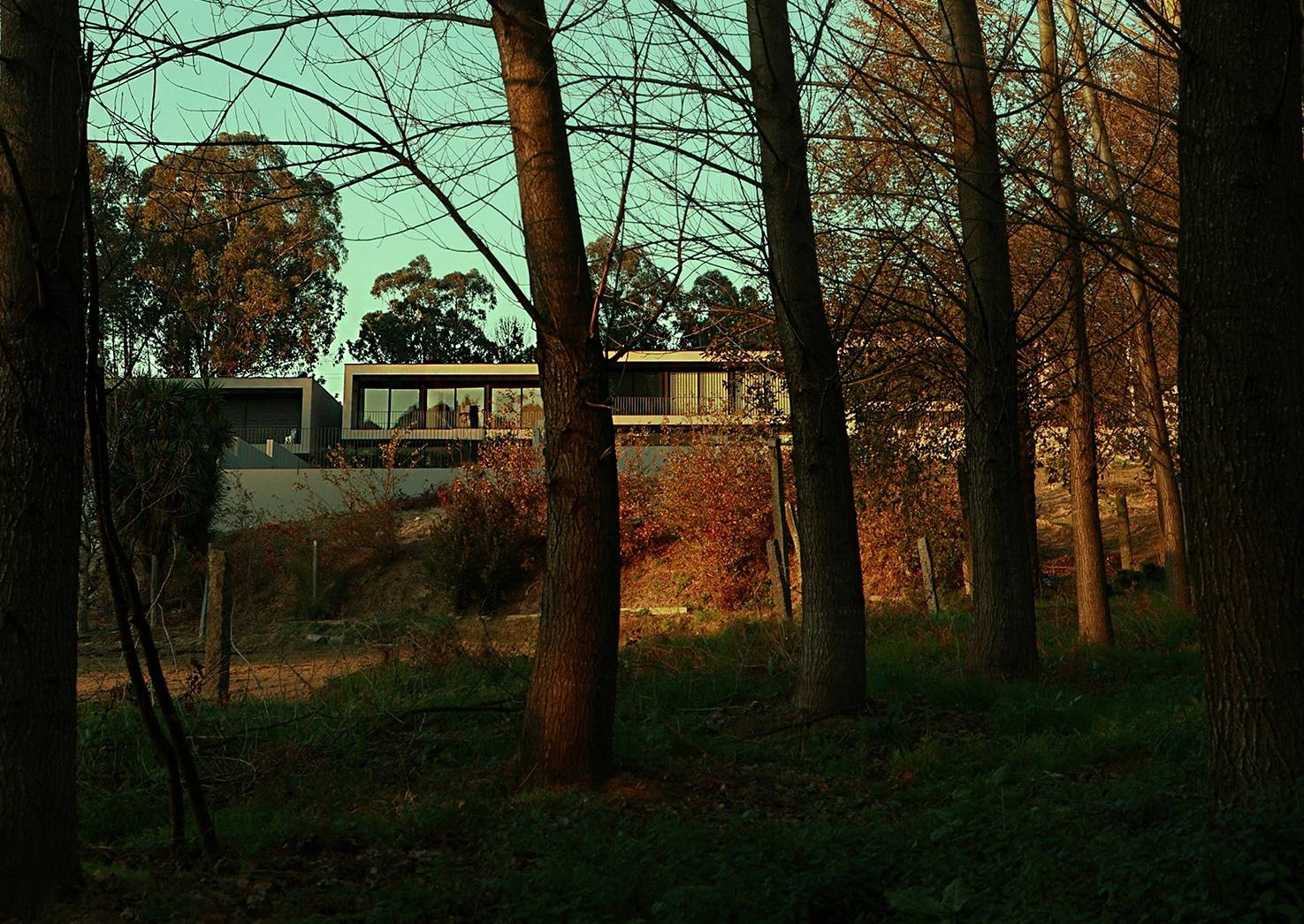 r6 51775 2508044619 e1683070462948